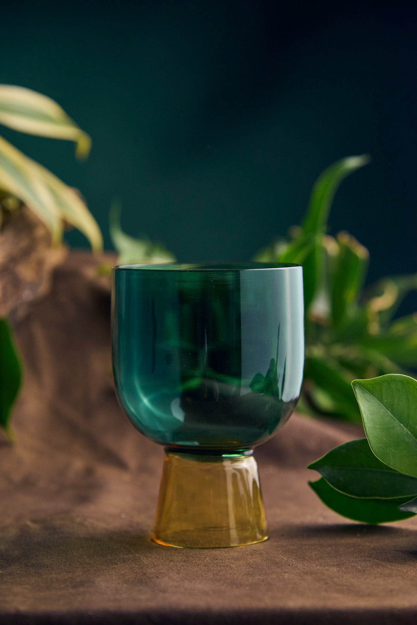 Colored Coupe | 175 ml | Set of 2, 4, 6