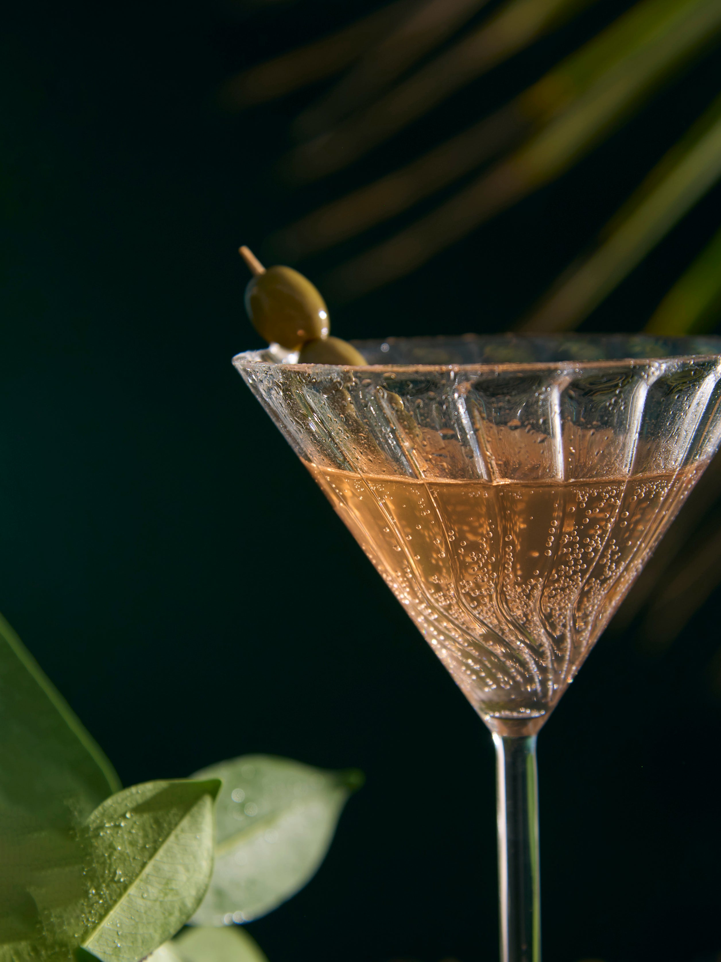 Sipster Fluted Martini Glass | 200 ml