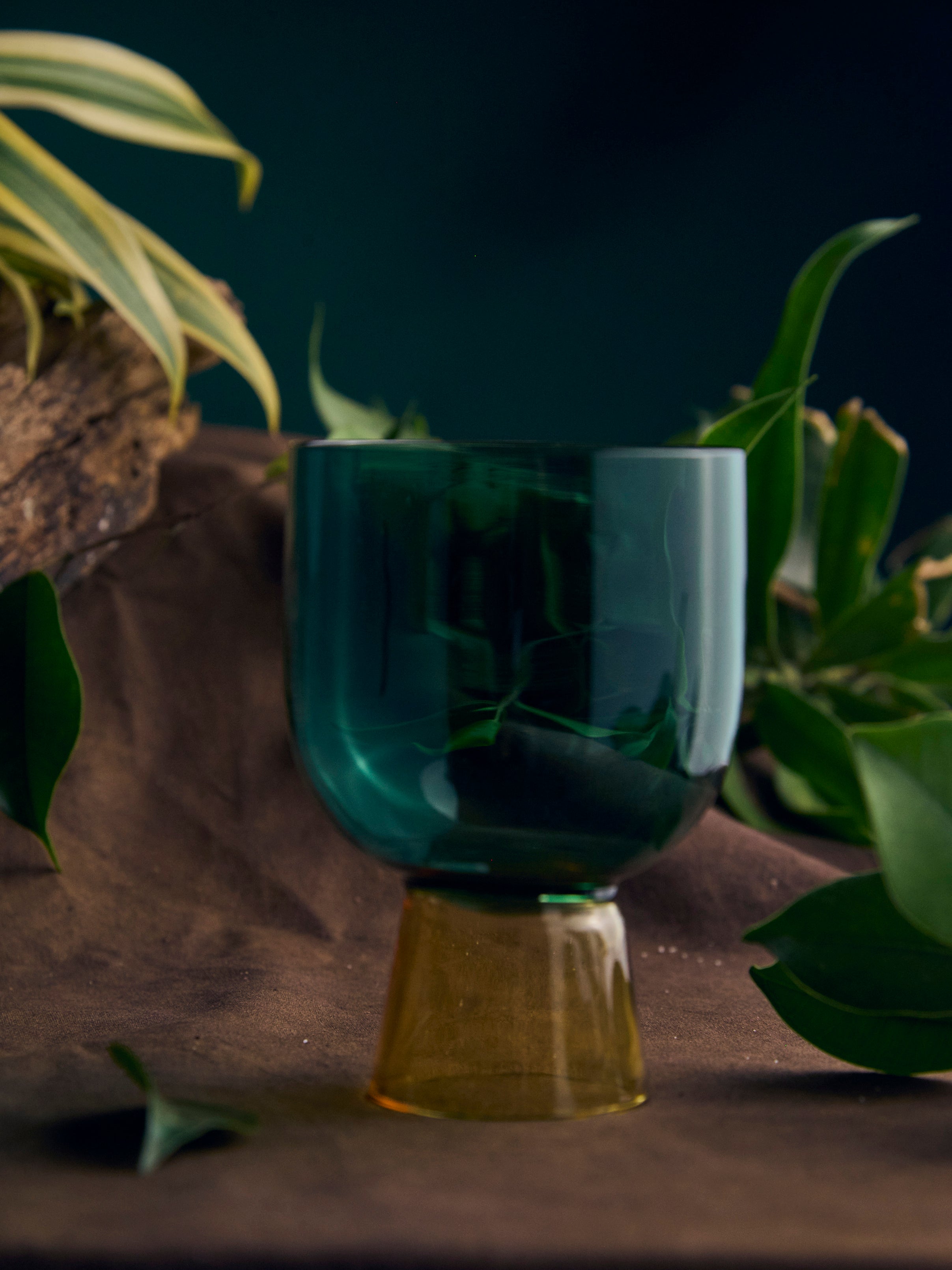 Coloured Coupe Glass | 275 ml | Set of 2, 4, 6