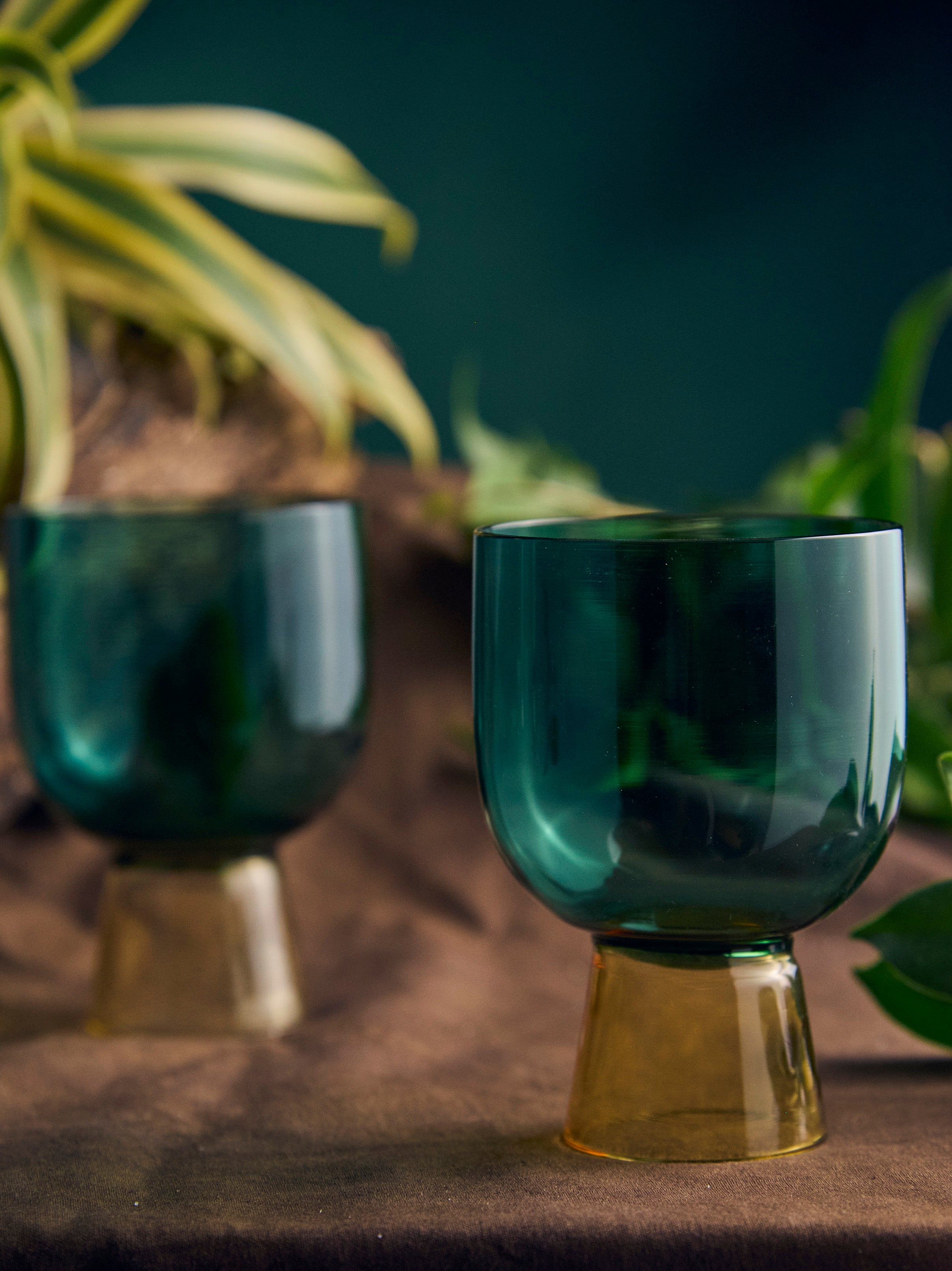 Coloured Coupe Glass | 275 ml | Set of 2, 4, 6