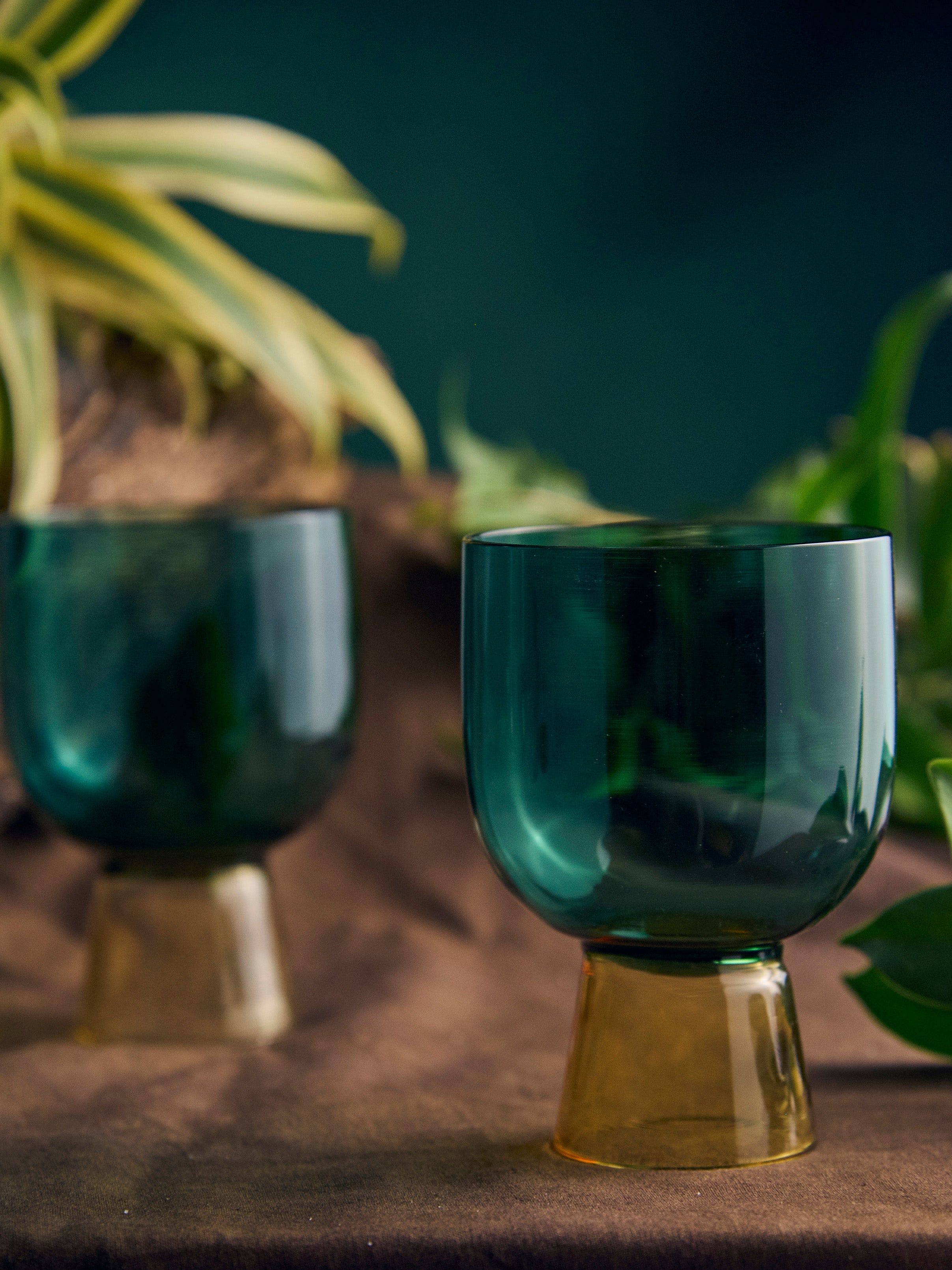 Coloured Coupe Glass | 275 ml | Set of 2, 4, 6