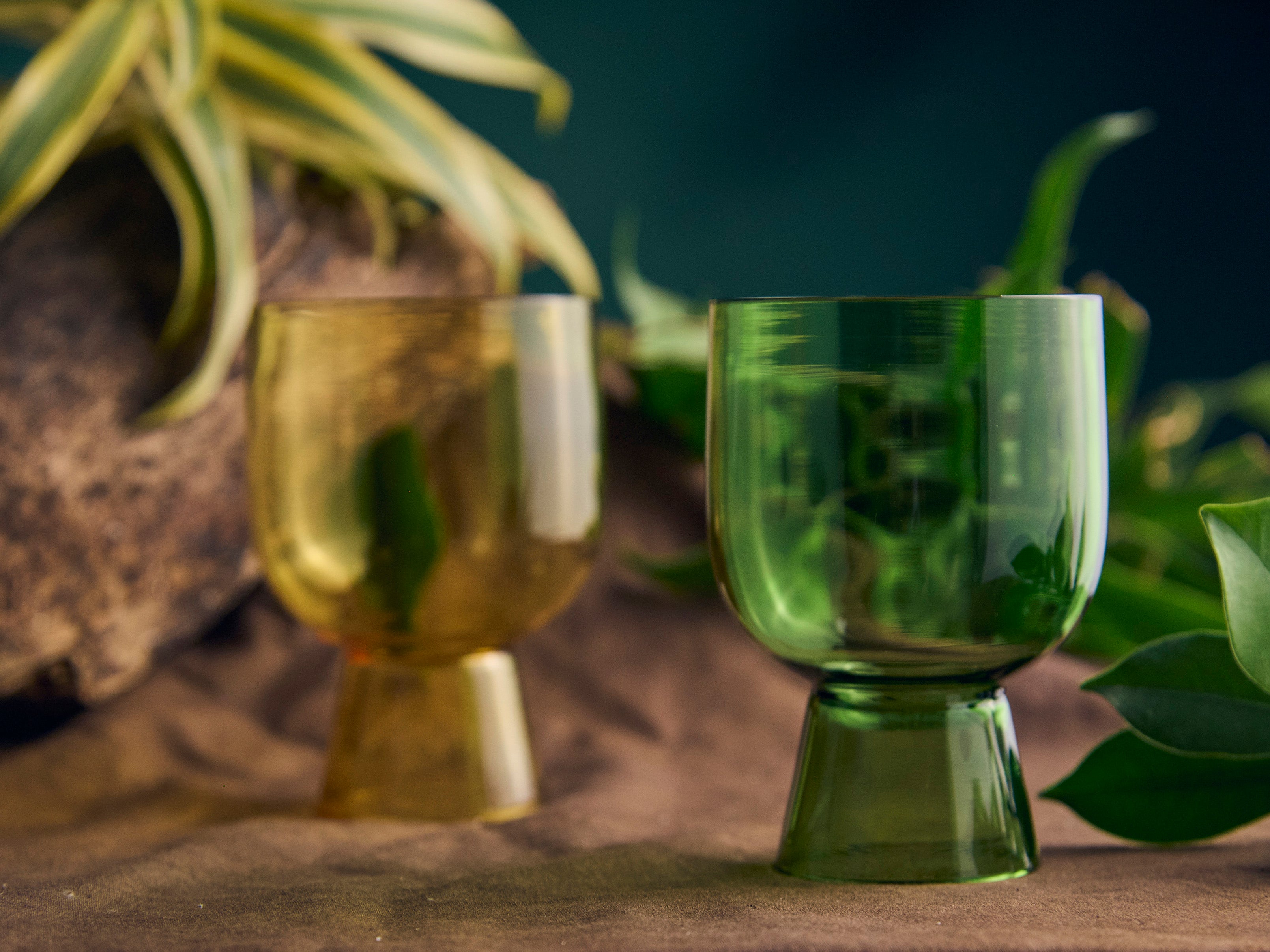 Coloured Coupe Glass | 275 ml | Set of 2, 4, 6